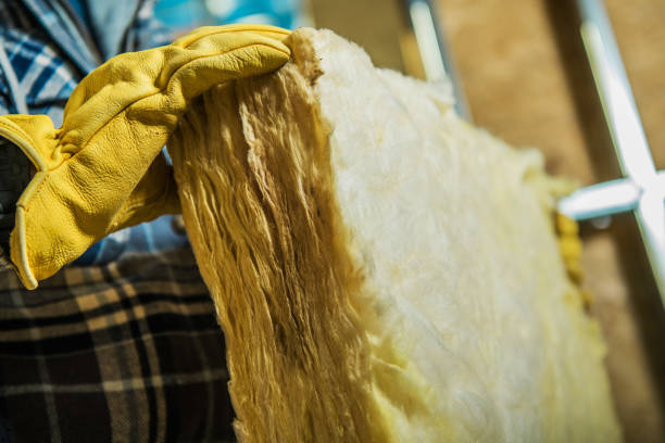 Best Specialized Insulation Services in Noel, MO